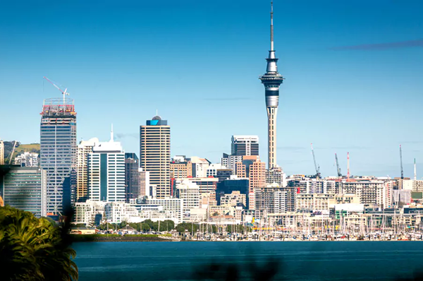 Study in New Zealand